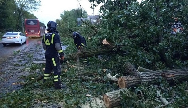 В Ростовской области из-за непогоды погиб человек и задержались 111 поездов