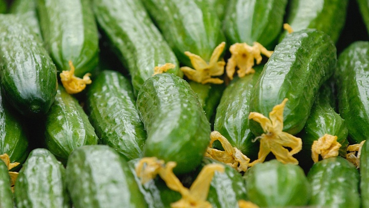 В Минсельхозе объяснили ситуацию с ценами на огурцы